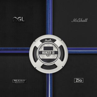 Audio Assault Seacow Cabs OVERSIZED BEASTS: MZR30 Amp Locker Cabs Presets IRs