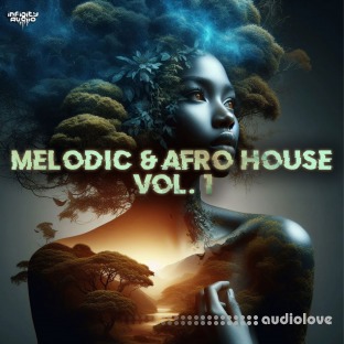 Infinity Audio Melodic and Afro House Vol 1