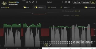 NoiseWorks VoiceAssist