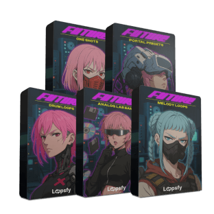 Loopsfy Future Megapack