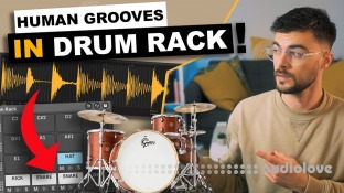 Will Hatton Real Groovy Project