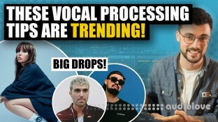 Will Hatton Frozen Project