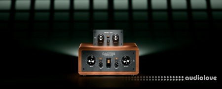 Canvas Audio Cactus Clipper