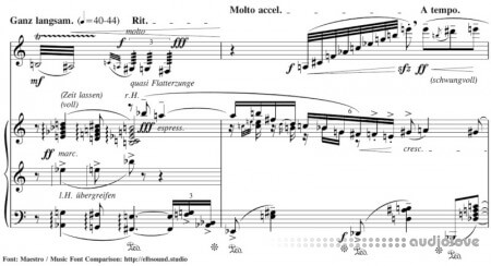 Elbsound Music Fonts Package