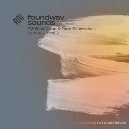 foundwav sounds FWS006 Drum and Bass Expressions Synths 170 Vol 2