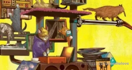 Native Instruments Marco Polo Drums