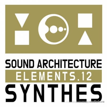 Cari Lekebusch Sae 12 (Synthes)