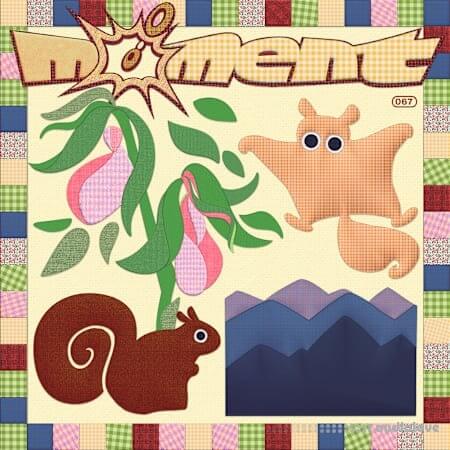 Moment For Asheville, A Galen Tipton And Holly Waxwing Moment