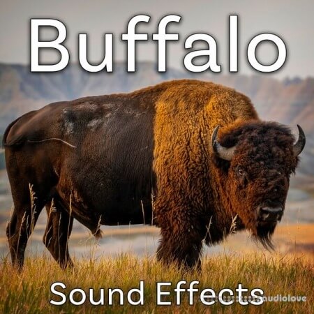 Sound Ideas Buffalo Sound Effects