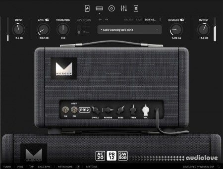 Neural DSP Morgan Amps Suite