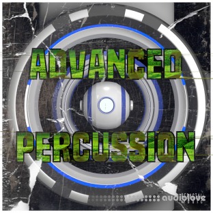 Bfractal Music Advanced Percussion