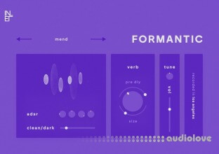Inlet Audio Formantic