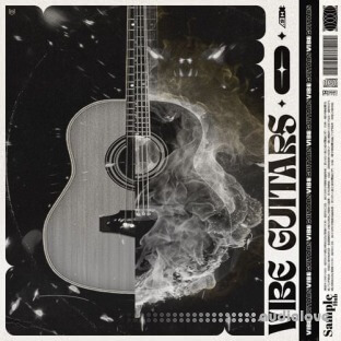 Sample Hub Vibe Guitars 3