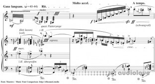 Elbsound Music Fonts Package