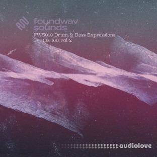 foundwav sounds FWS010 Drum and Bass Expressions Synths 160 Vol 2