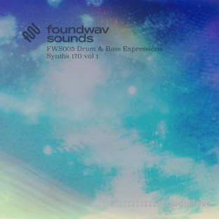 foundwav sounds FWS005 Drum and Bass Expressions Synths 170 Vol 1