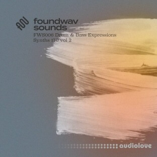 foundwav sounds FWS006 Drum and Bass Expressions Synths 170 Vol 2