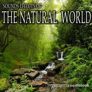 Sound Ideas Sound Effects Of The Natural World