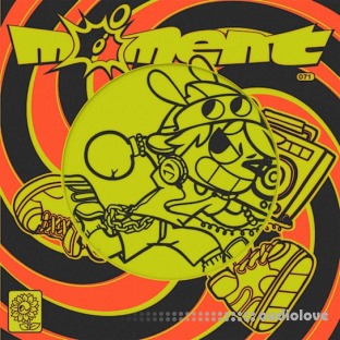 Moment Follow the Sound System a Cardozo moment