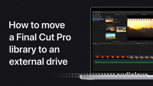 Apple Final Cut Pro