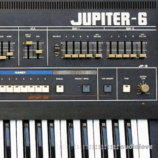 Looma Roland Jupiter6 Oneshot Sample Pack