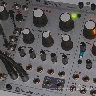 Looma Mutable Instruments Rings Oneshot Sample Pack