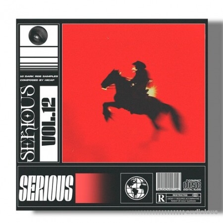 SamplesWave Serious Vol.12