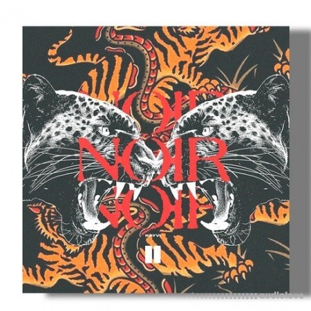 SamplesWave Noir Vol.2