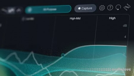 iZotope Tonal Balance Control 3