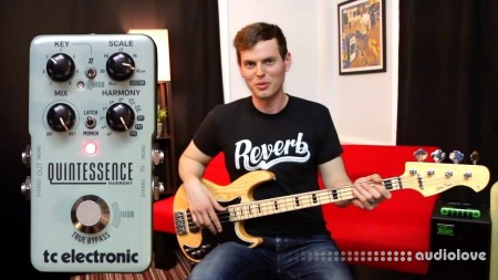 Nate Navarro Riffin with the Quintessence Harmony from TC Electronic