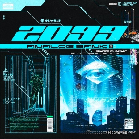 Savant 2099 Analog Lab Bank