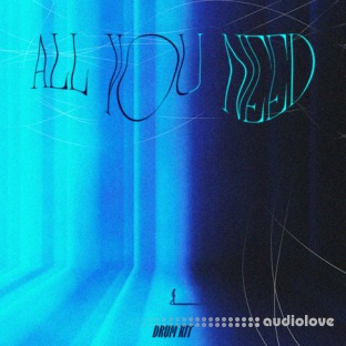 Sampleswave All You Need Drumkit