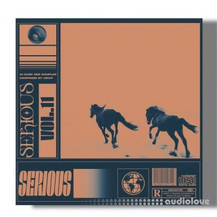 SamplesWave Serious Vol.11