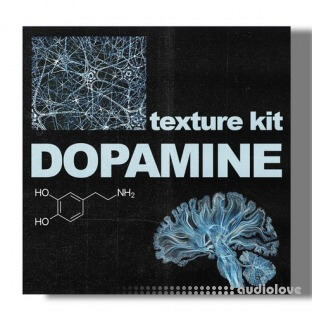 SamplesWave Textures And Accents Kit-Dopamine