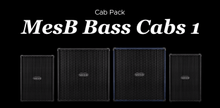 Audio Assault MesB Bass Cab