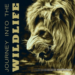 Nature Sounds Journey Into the Wildlife Collection of Various Nature Sounds Effects