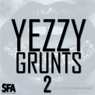 Big Citi Loops Yezzy Grunts 2