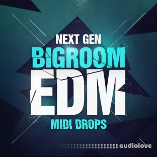 Next Generation Audio Next Gen Bigroom EDM Midi Drops