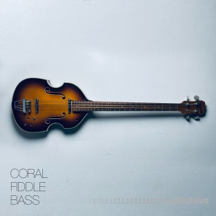 David Hilowitz Coral Fiddle Bass
