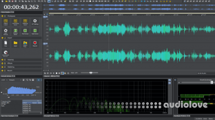 BorisFX SoundForge Plus