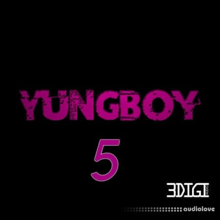 3 Digi Audio Yungboy 5
