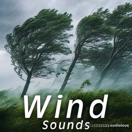 Sound Ideas Wind Sounds