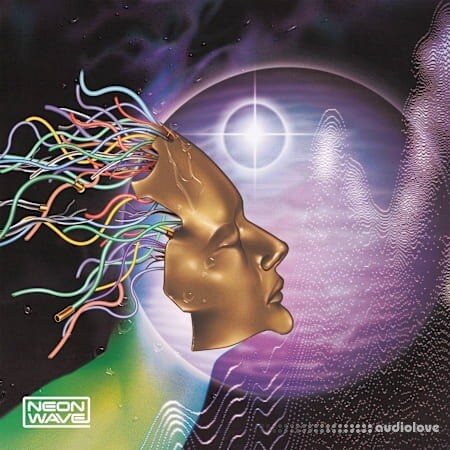 Neon Wave Digital Decay Vaporwave Cache