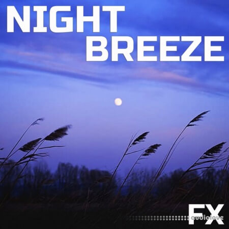 Cloud Nine Records Night Breeze FX