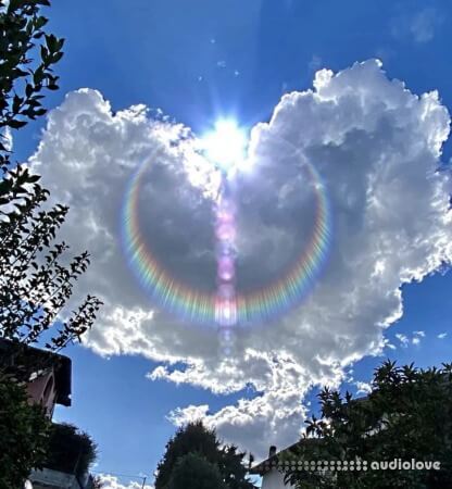 Сxdy 2025 Stash Kit