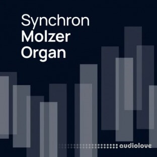 Vienna Symphonic Library Synchron Molzer Organ (Vienna Organ Player)