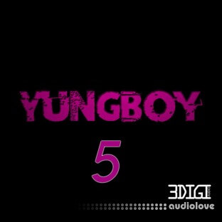 3 Digi Audio Yungboy 5