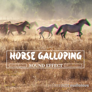 Pro Sound Effects Library Horse Galloping Sound Effect