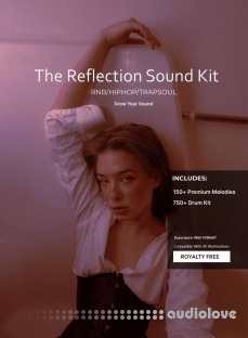 JX Studios Reflection Sound Kit