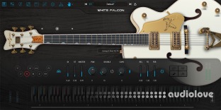 Ample Sound Ample Guitar WF